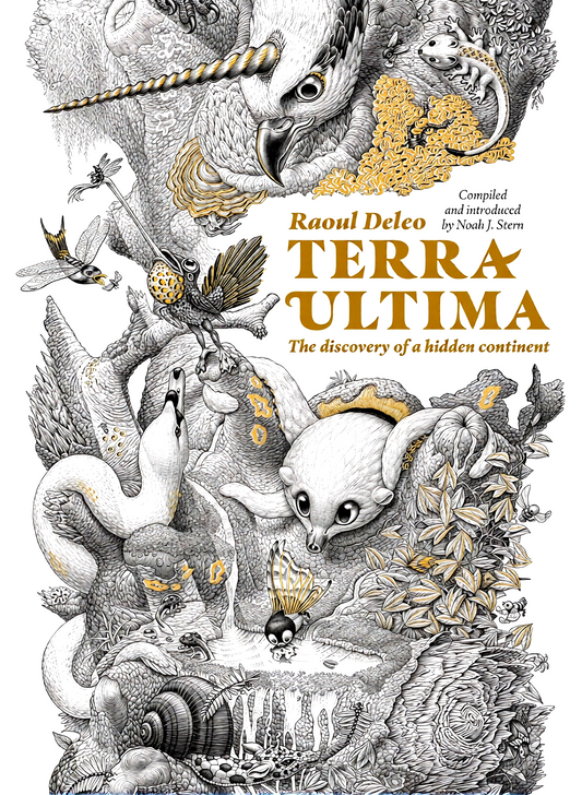 Terra Ultima: The Discovery Of A New Continent