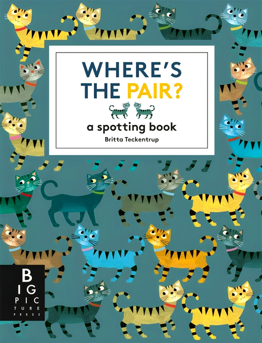 Where's The Pair? A Spotting Book