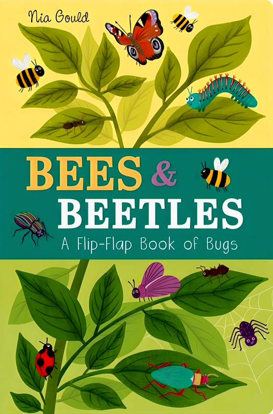 Bees & Beetles: A Flip-Flap Book Of Bugs