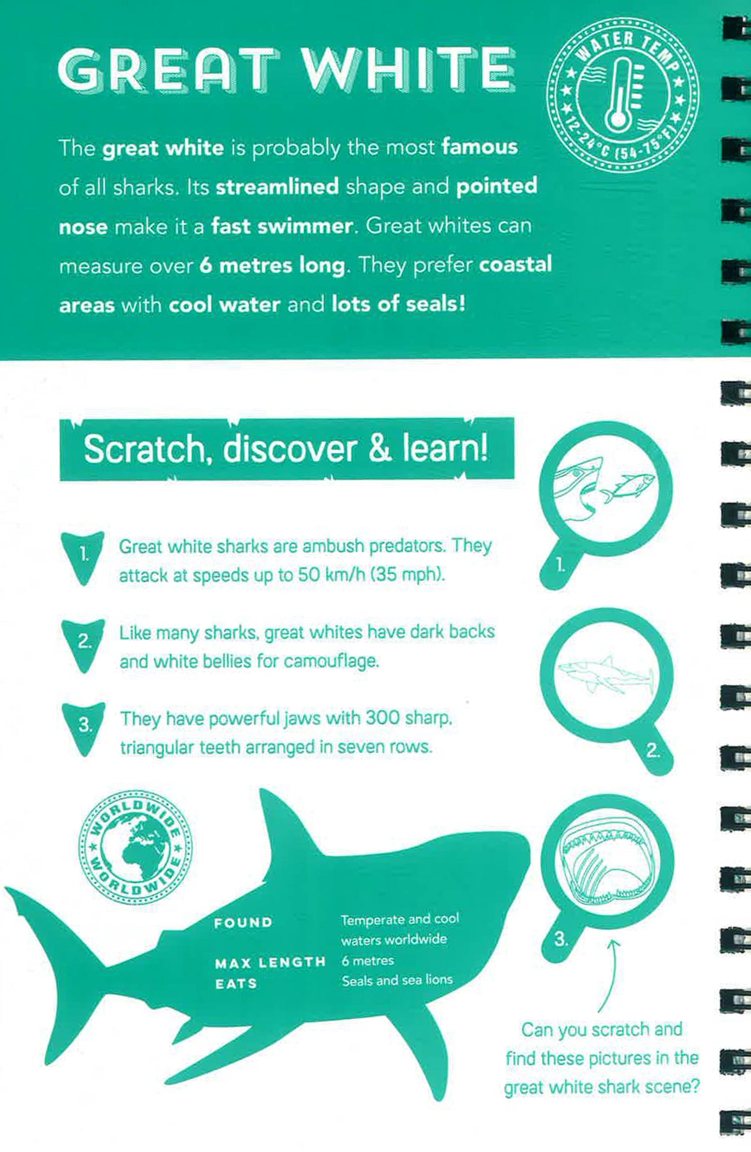 Shark Scratch Sharks (Scratch, Discover & Learn) – BookXcess