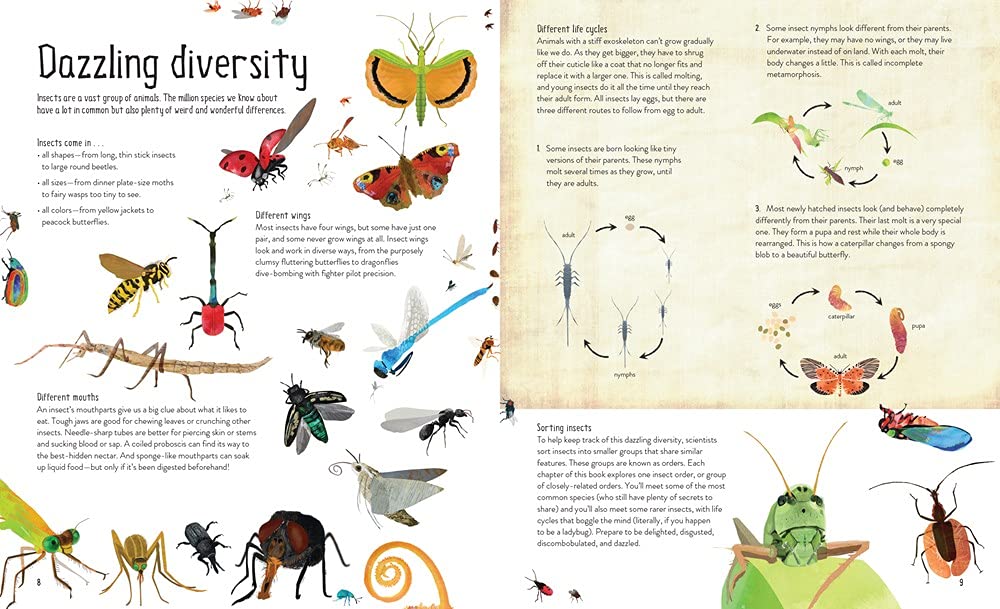 6000 Insects One Million Insects – BookXcess