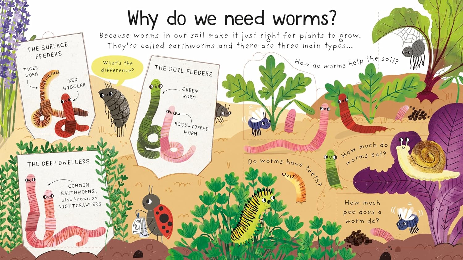 Usborne Lift-The-Flap: First Questions & Answers - Why Do We Need Worms? by Katie Daynes – book cover