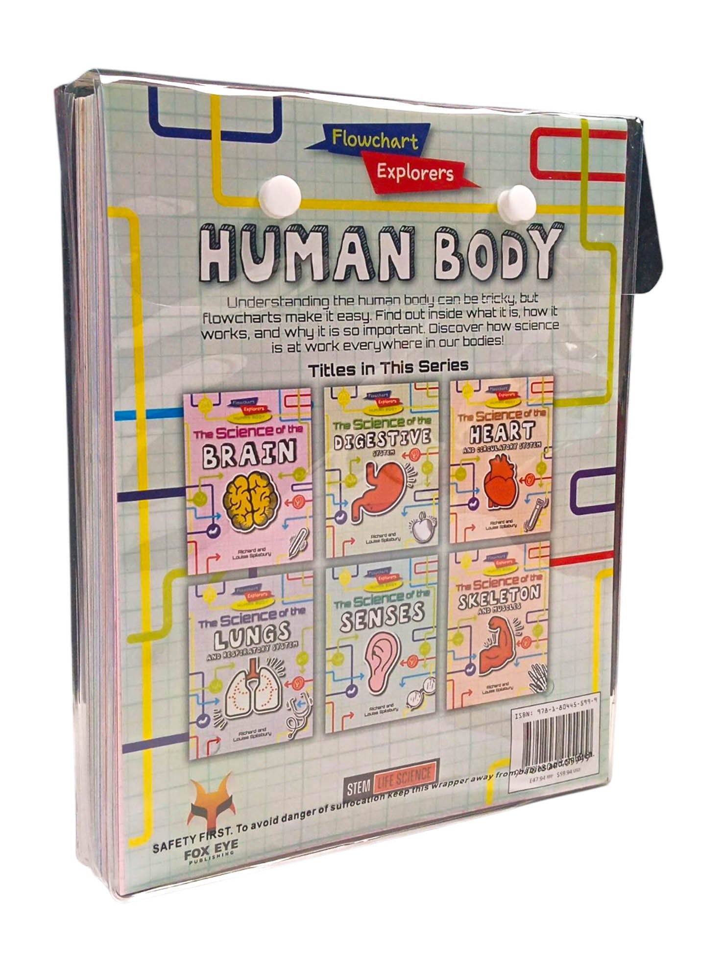 Flowchart Human Body Flowchart Explorers Human Body Stem 6 Science Books Set – BookXcess