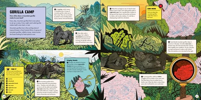 Marvellous Animal Homes: A Magic Lens Book by Jane Wilsher – book cover