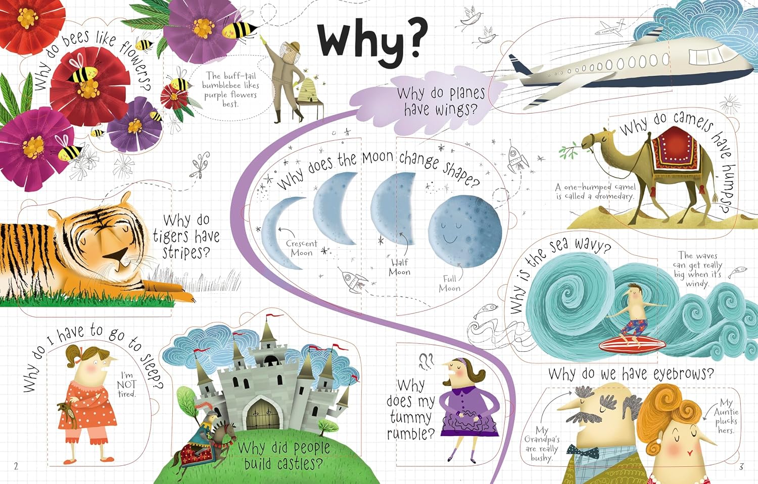 Usborne Lift-The-Flap: Questions And Answers by Katie Daynes – book cover