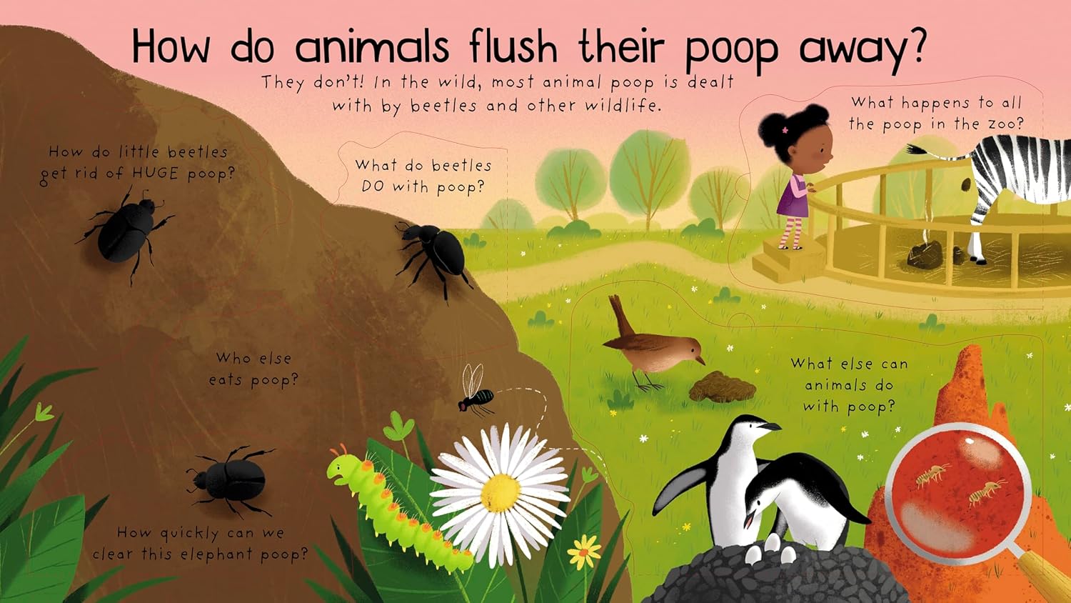 Usborne Lift-The-Flap: First Questions & Answers - Where Does Poop Go? by Katie Daynes – book cover