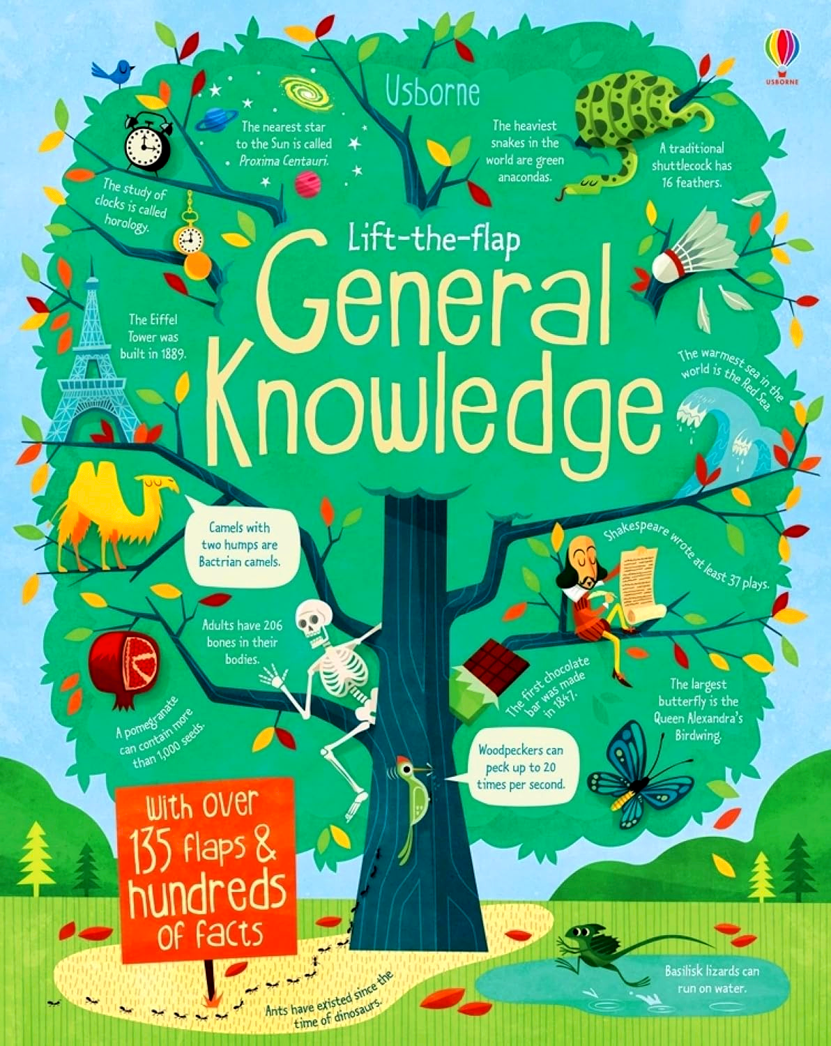 Usborne Lift-The-Flap: General Knowledge by James Maclaine – book cover