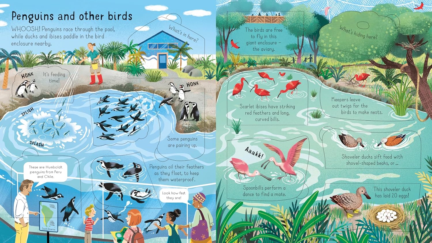 Usborne Look Inside A Zoo by Minna Lacey – book cover