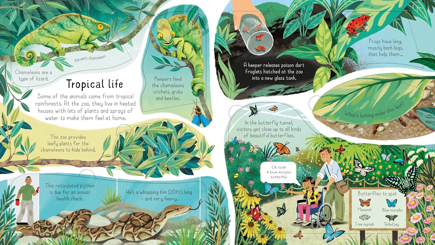 Usborne Look Inside A Zoo by Minna Lacey – book cover