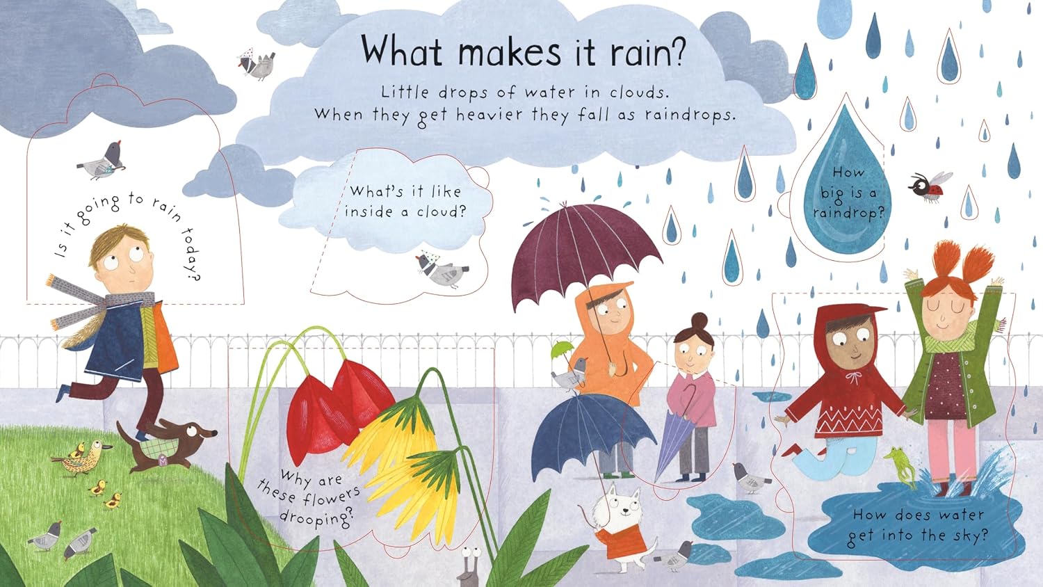 Usborne Lift-The-Flap: First Questions & Answers - What Makes It Rain? by Katie Daynes – book cover