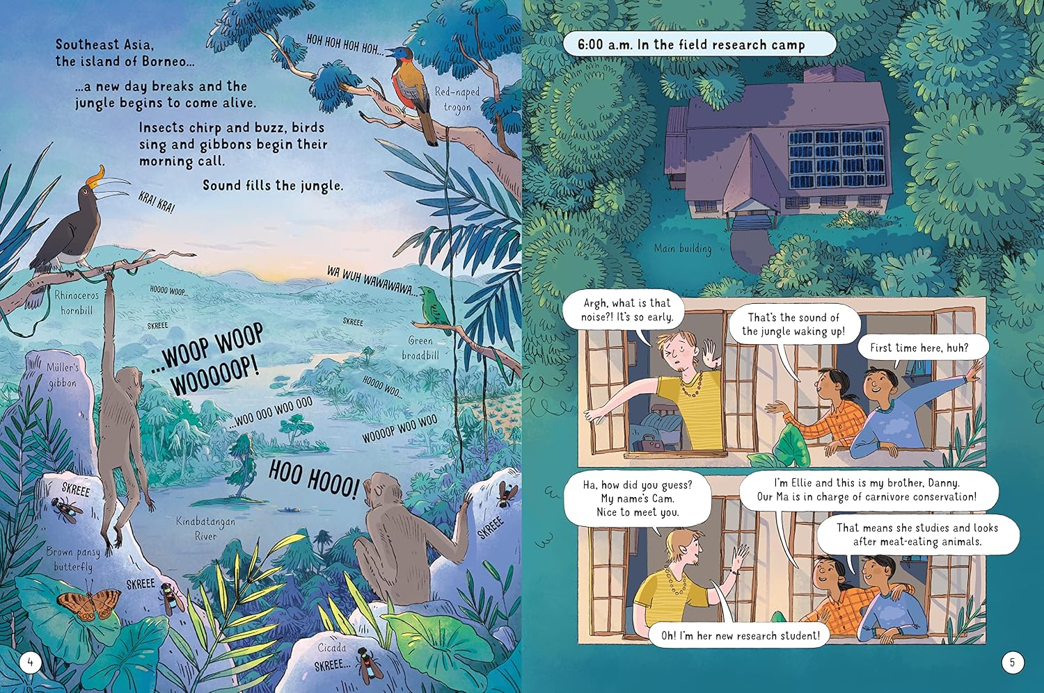 Usborne 24 Hours In The Jungle by Lan Cook – book cover
