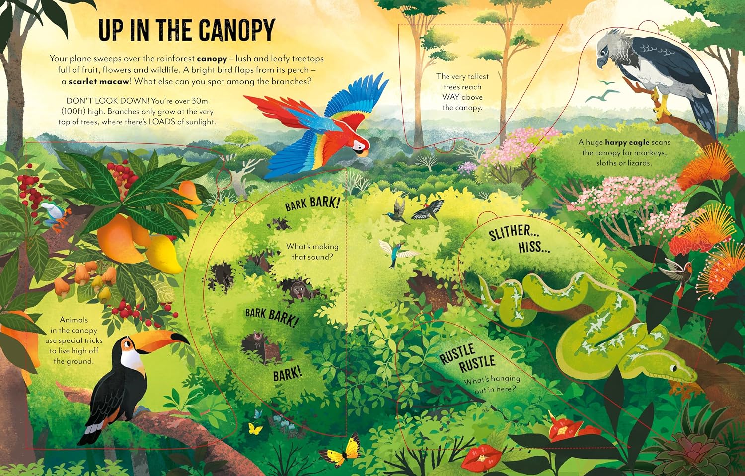 Usborne Extreme Planet: Journey Through The Amazon by Rob Lloyd Jones – book cover