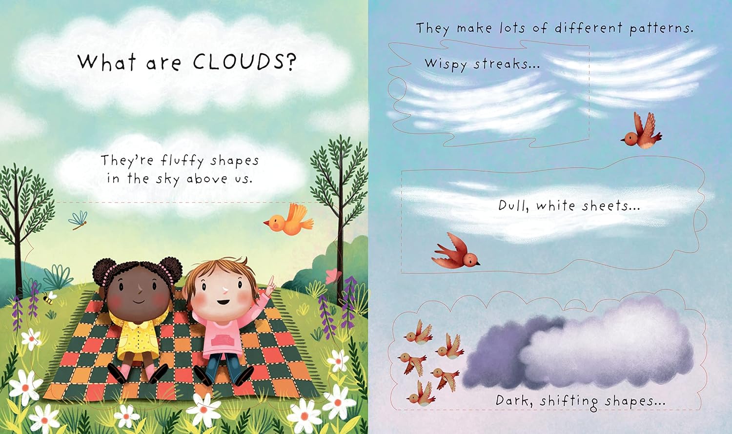 Usborne Lift-The-Flap: Very First Questions & Answers - What Are Clouds? by Katie Daynes – book cover