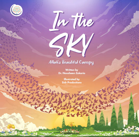 In The Sky: Allah's Beautiful Canopy