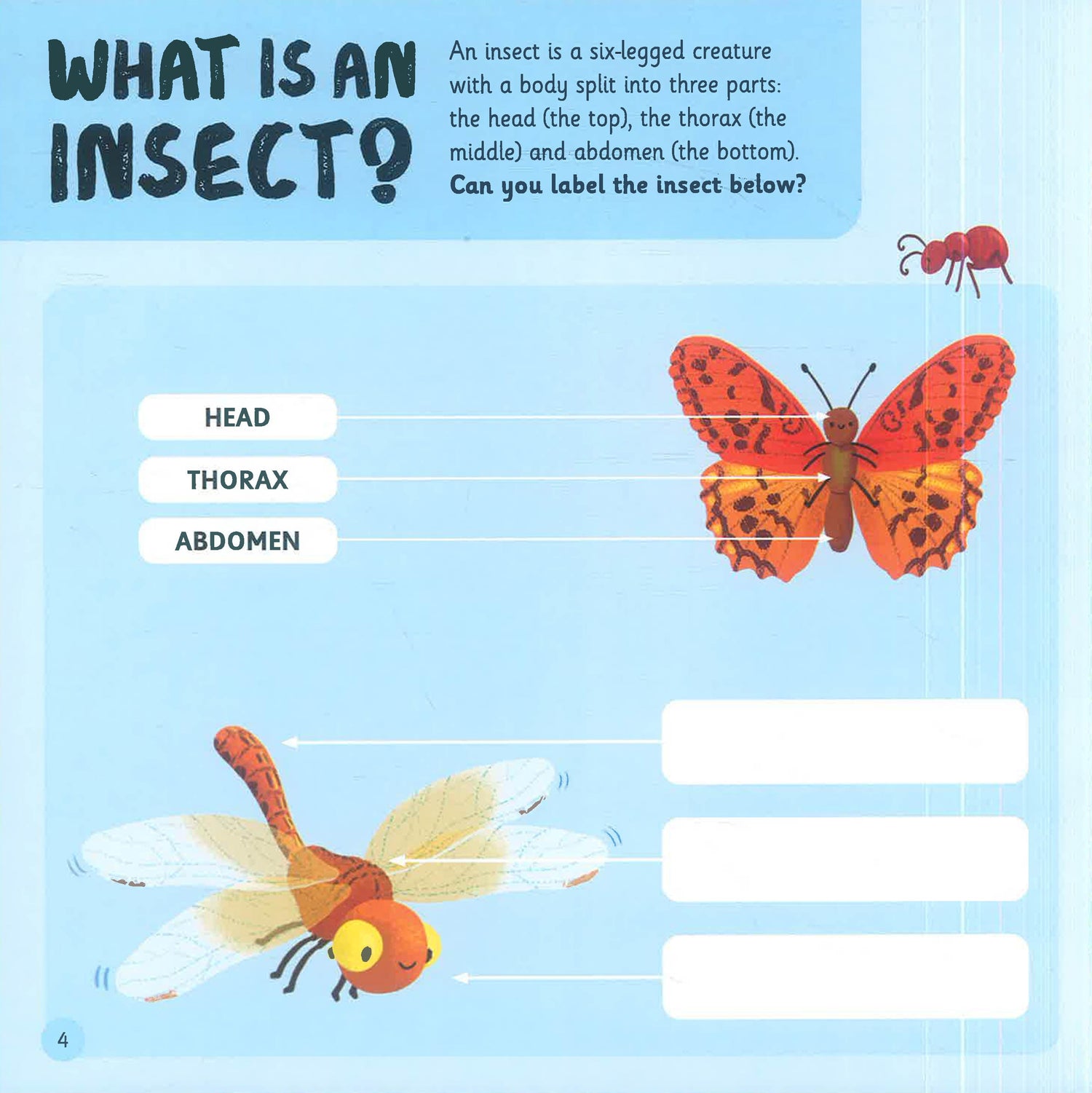 Explore And Learn: Bugs And Nature - Stickers And Activity For Little Explorers! by Autumn Publishing – book cover