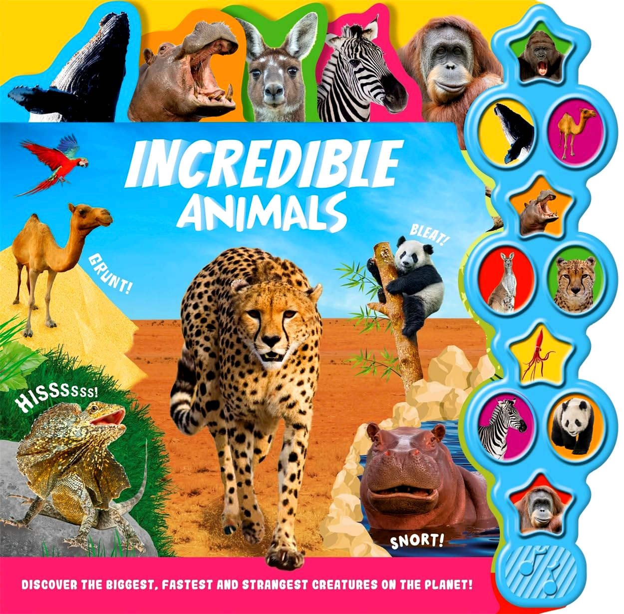 Incredibles Animals (My First Tabbed Sound Book) by Igloo Books – book cover
