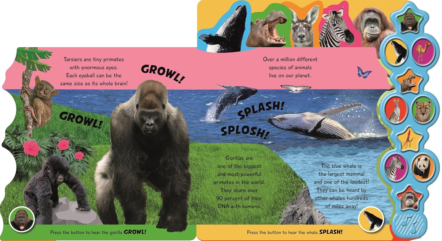Incredibles Animals (My First Tabbed Sound Book) by Igloo Books – book cover