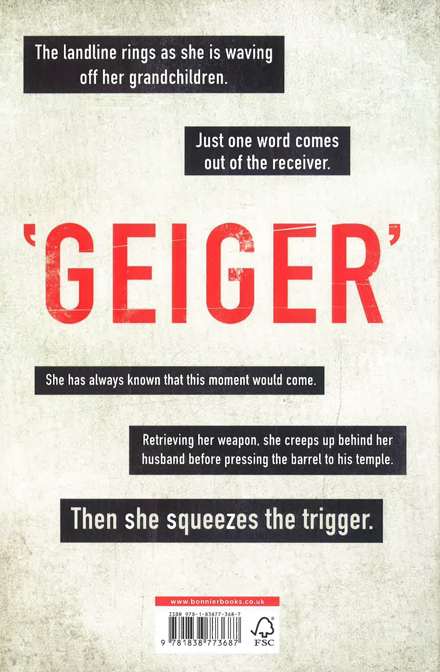 Geiger Tale Geiger – BookXcess