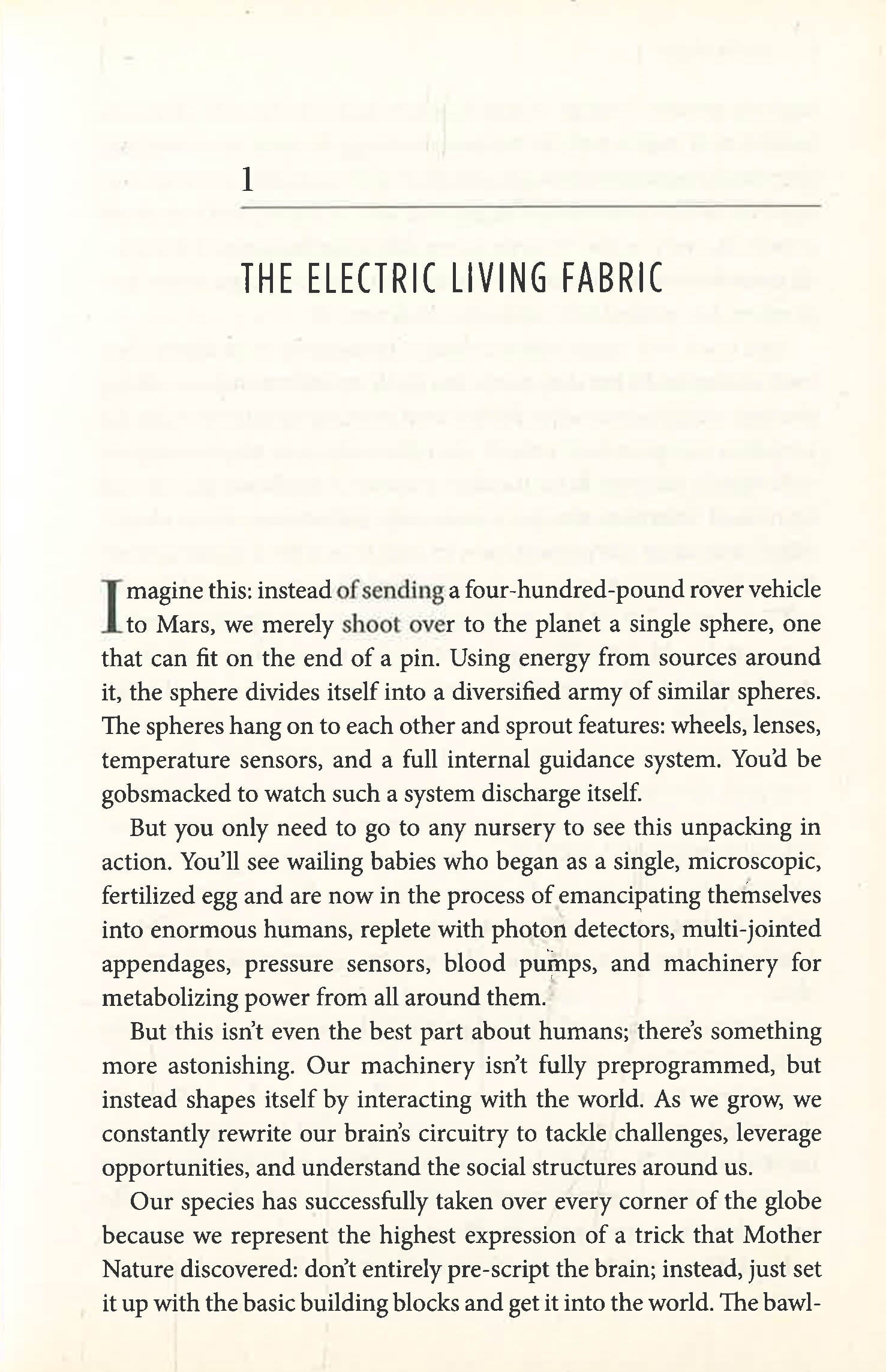 Life Wire Computer Books Livewired – BookXcess