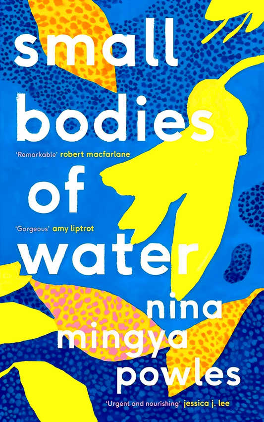 Small Bodies Of Water