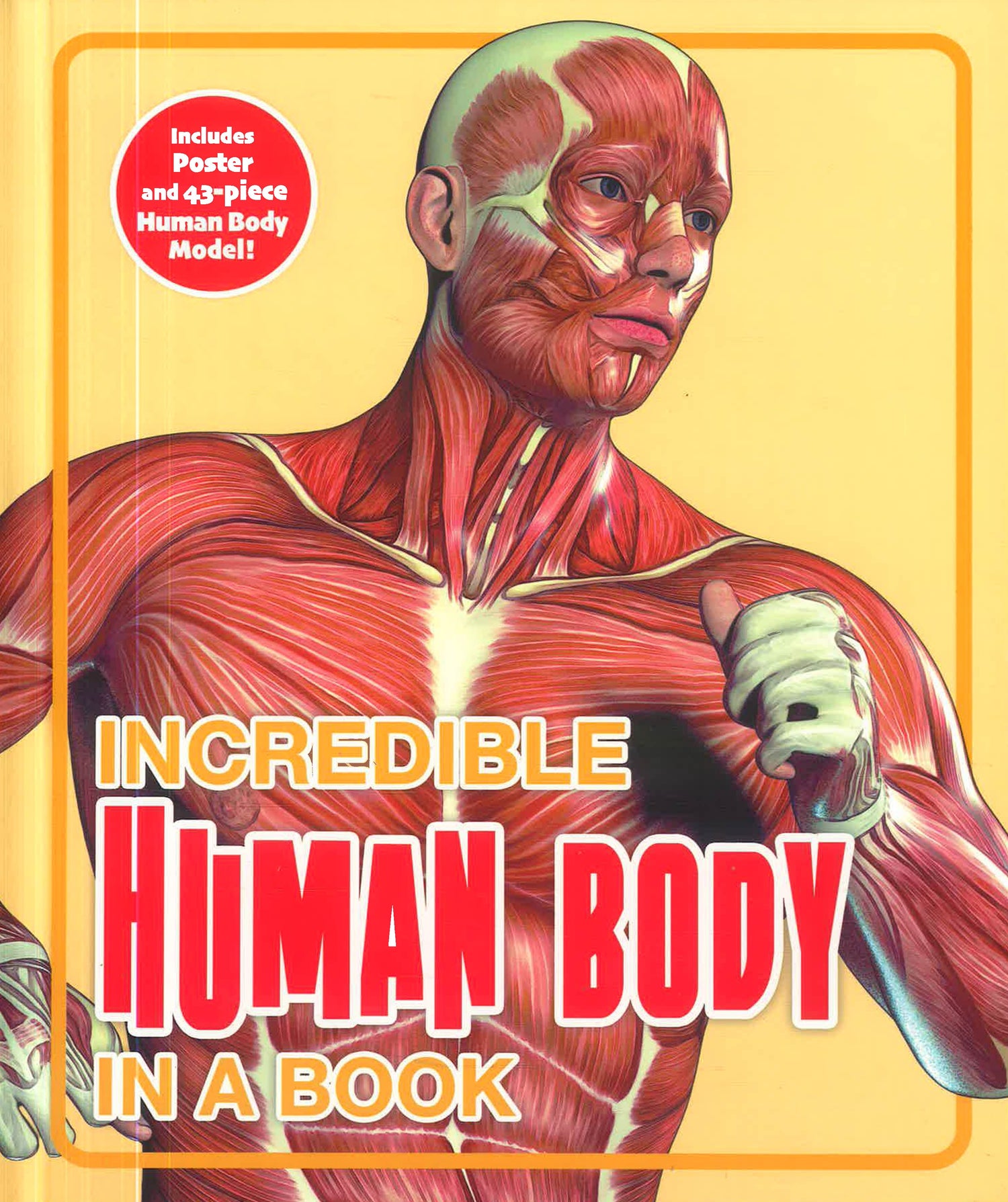 Incredible Human Body In A Book by Arcturus Publishing – book cover