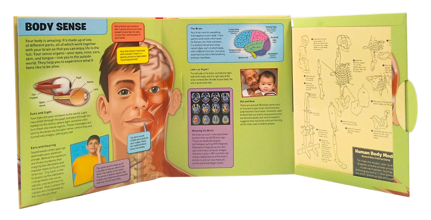 Incredible Human Body In A Book by Arcturus Publishing – book cover