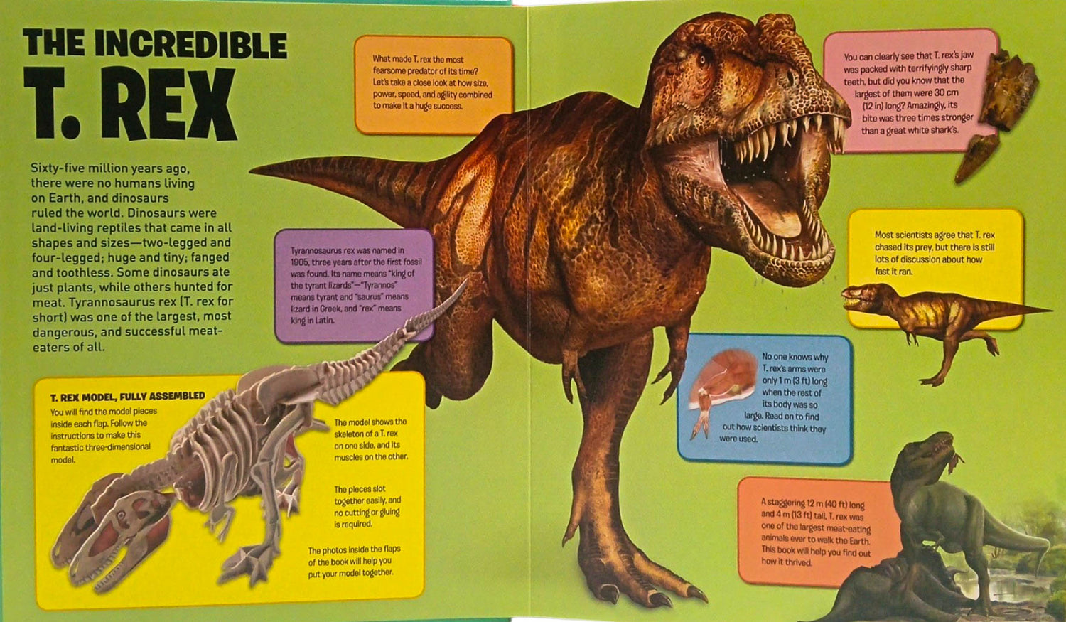 Incredible T.Rex In A Book by Arcturus Publishing – book cover