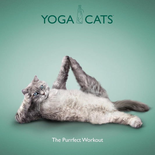 Yoga Cats