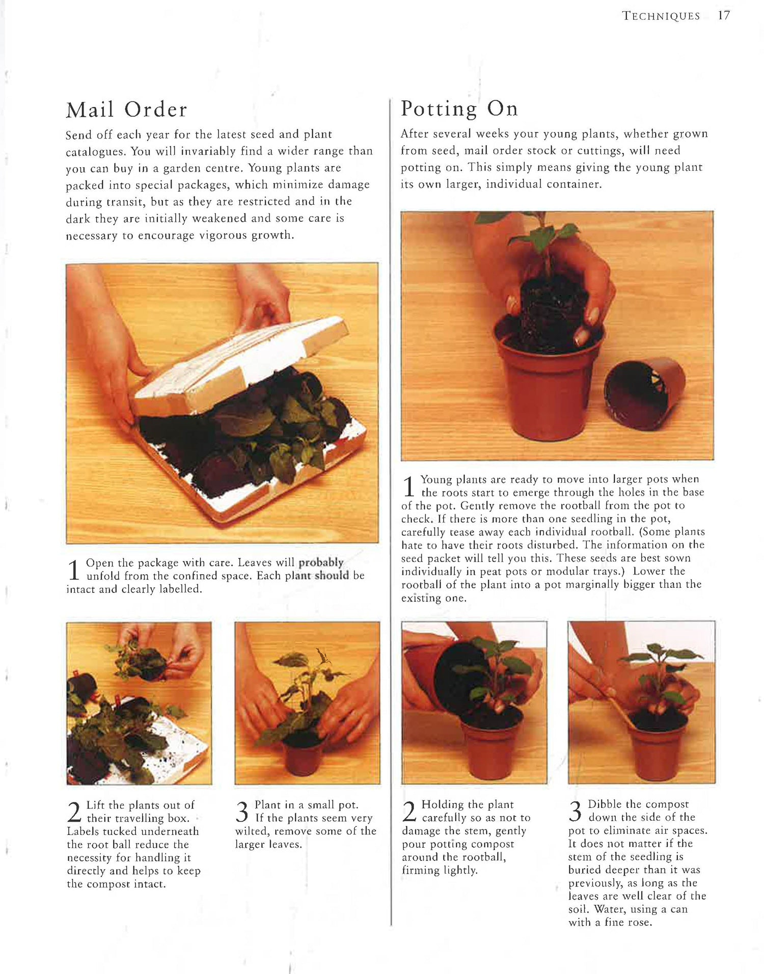 Michigan Container Garden Planting Guide.pdf Container Gardens – BookXcess
