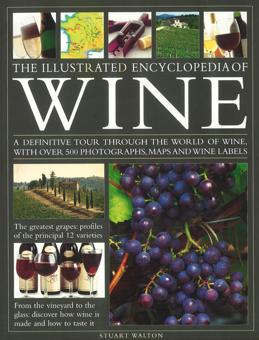 Illustrated Guide To Wine