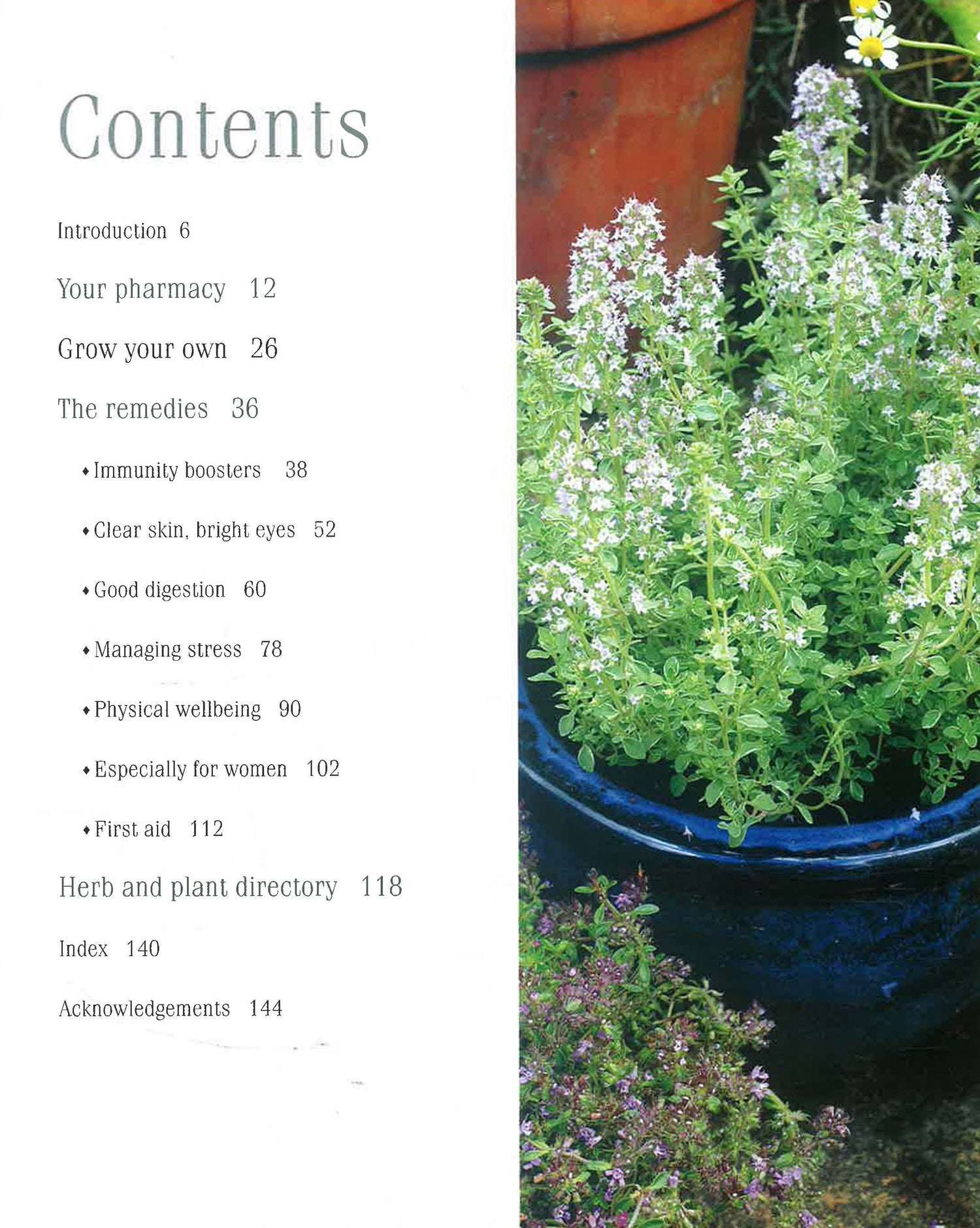 Homegrown Remedies by Anne Mcintyre – book cover
