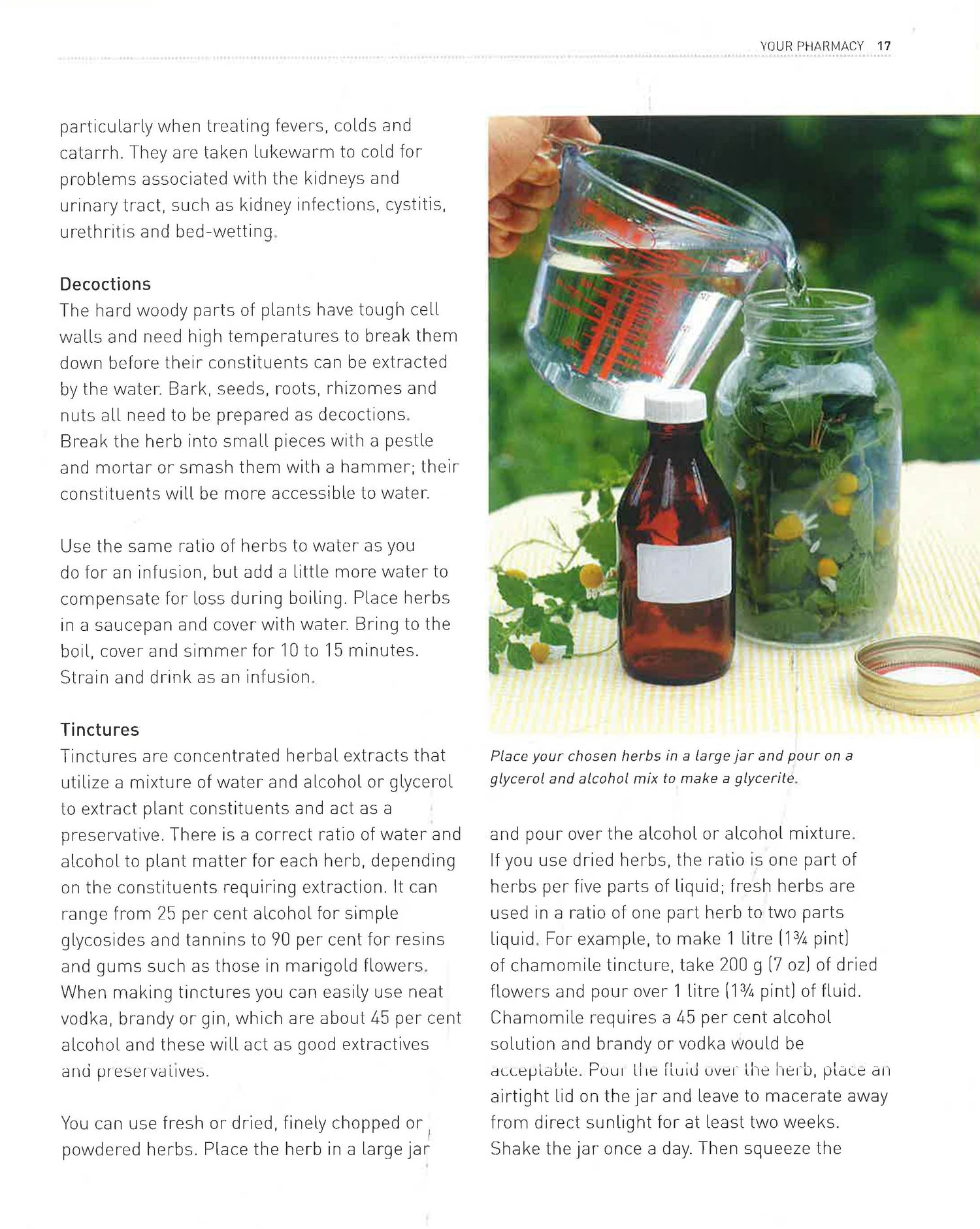 Homegrown Remedies by Anne Mcintyre – book cover