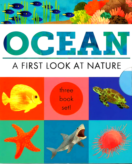 Hidden World - 3 Books In Slipcase: Ocean