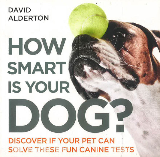 How Smart Is Your Dog?