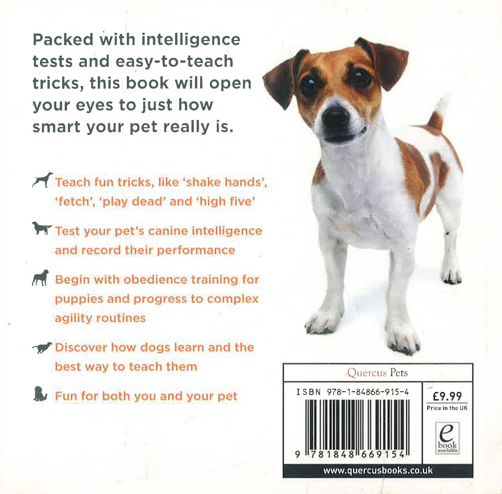 How Smart Is Your Dog? – BookXcess - Main Image
