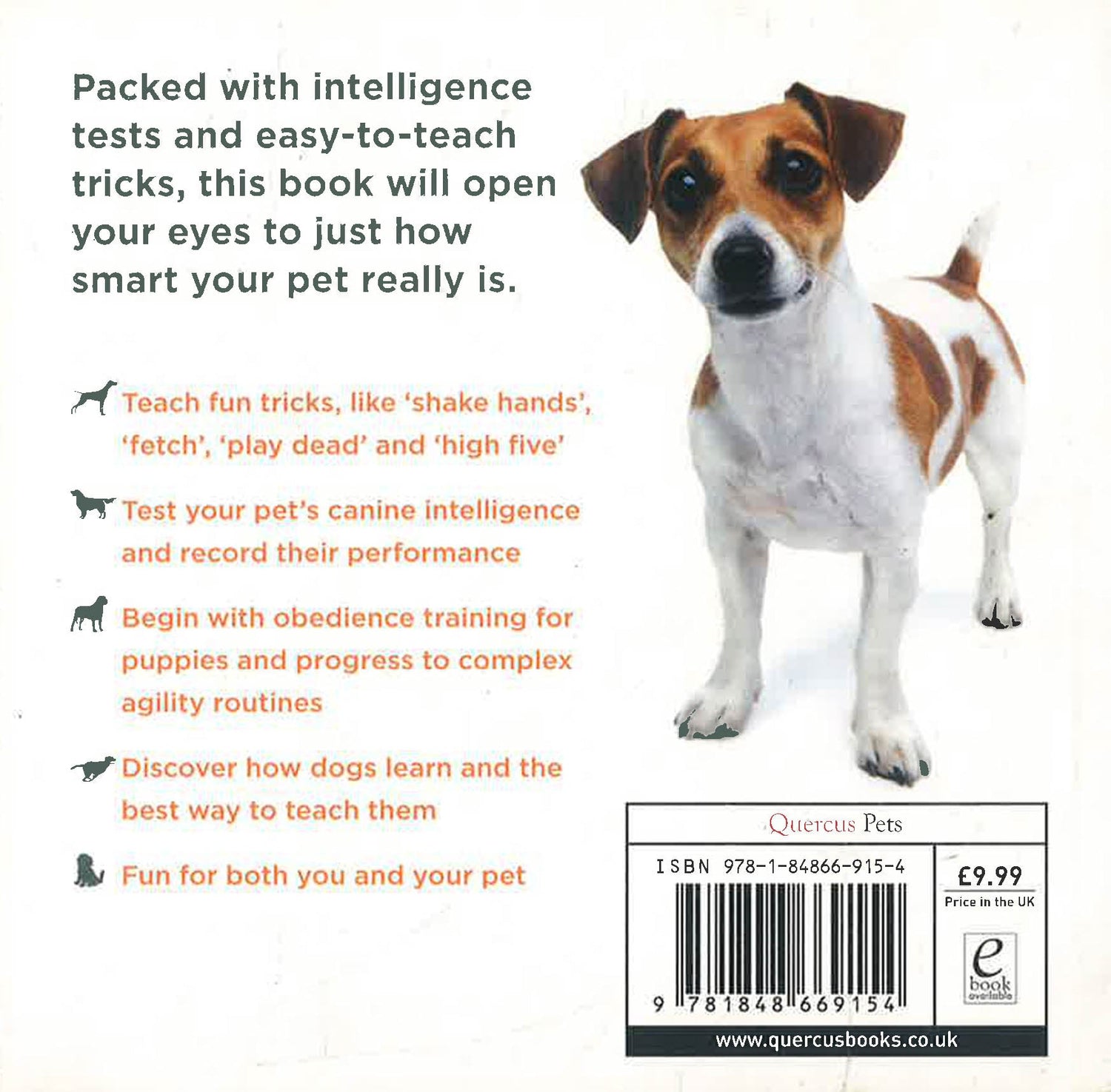 How Smart Is Your Dog? – BookXcess - Main Image