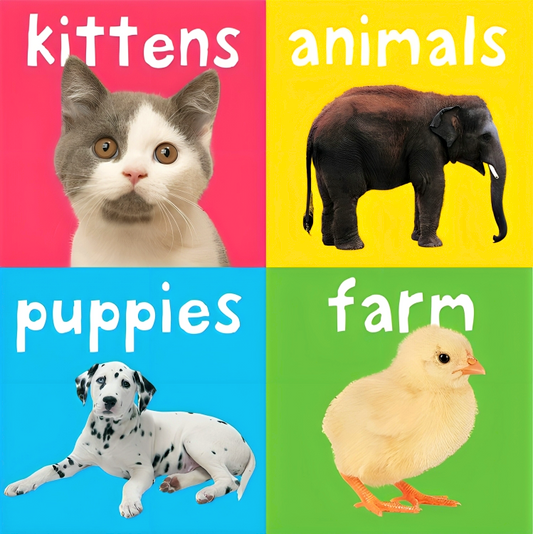 Chunky Books: Animals (4 Books)