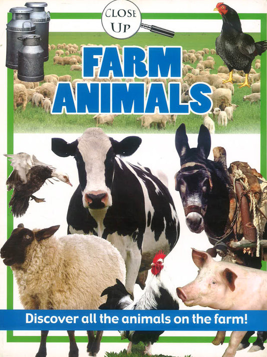 Close Up Farm Animals