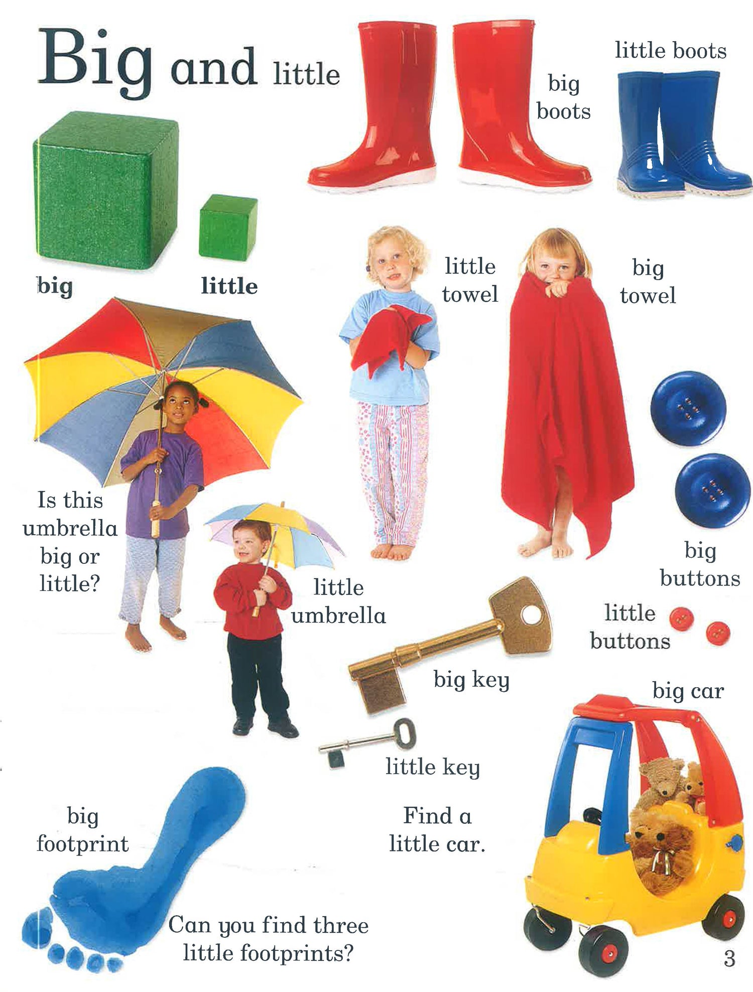Sticker Fun - Sizes by Armadillo Press – book cover