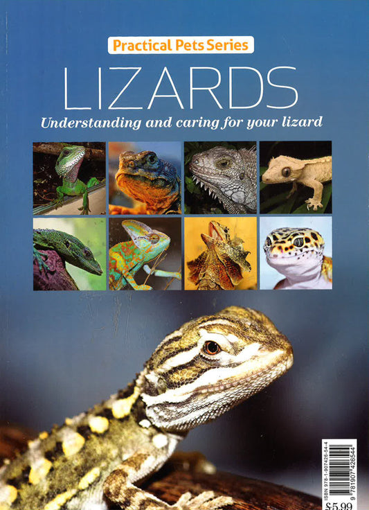 Practical Pets Series: Lizards