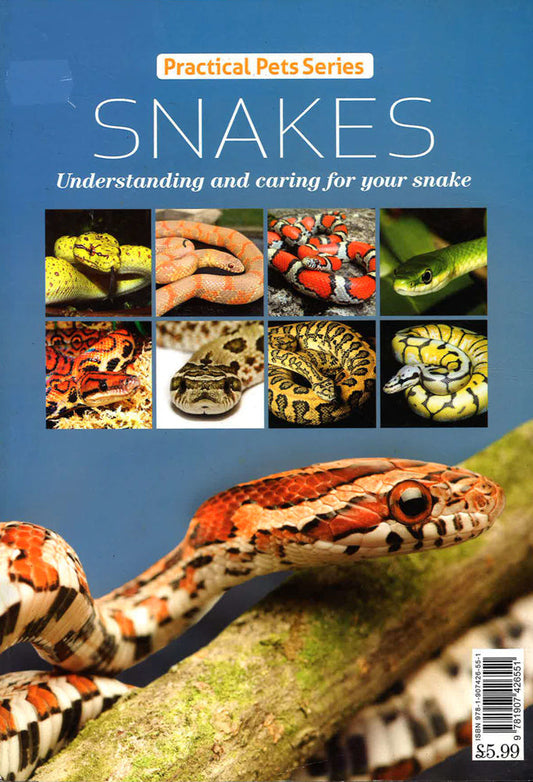 Practical Pets Series: Snakes