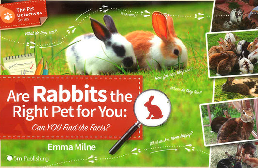 Pet Detective Series: Are Rabbits The Right Pet For You