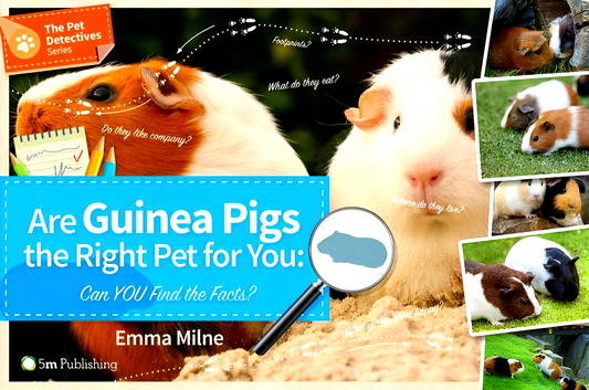 Pet Detective Series: Are Guinea Pigs The Right Pet For You
