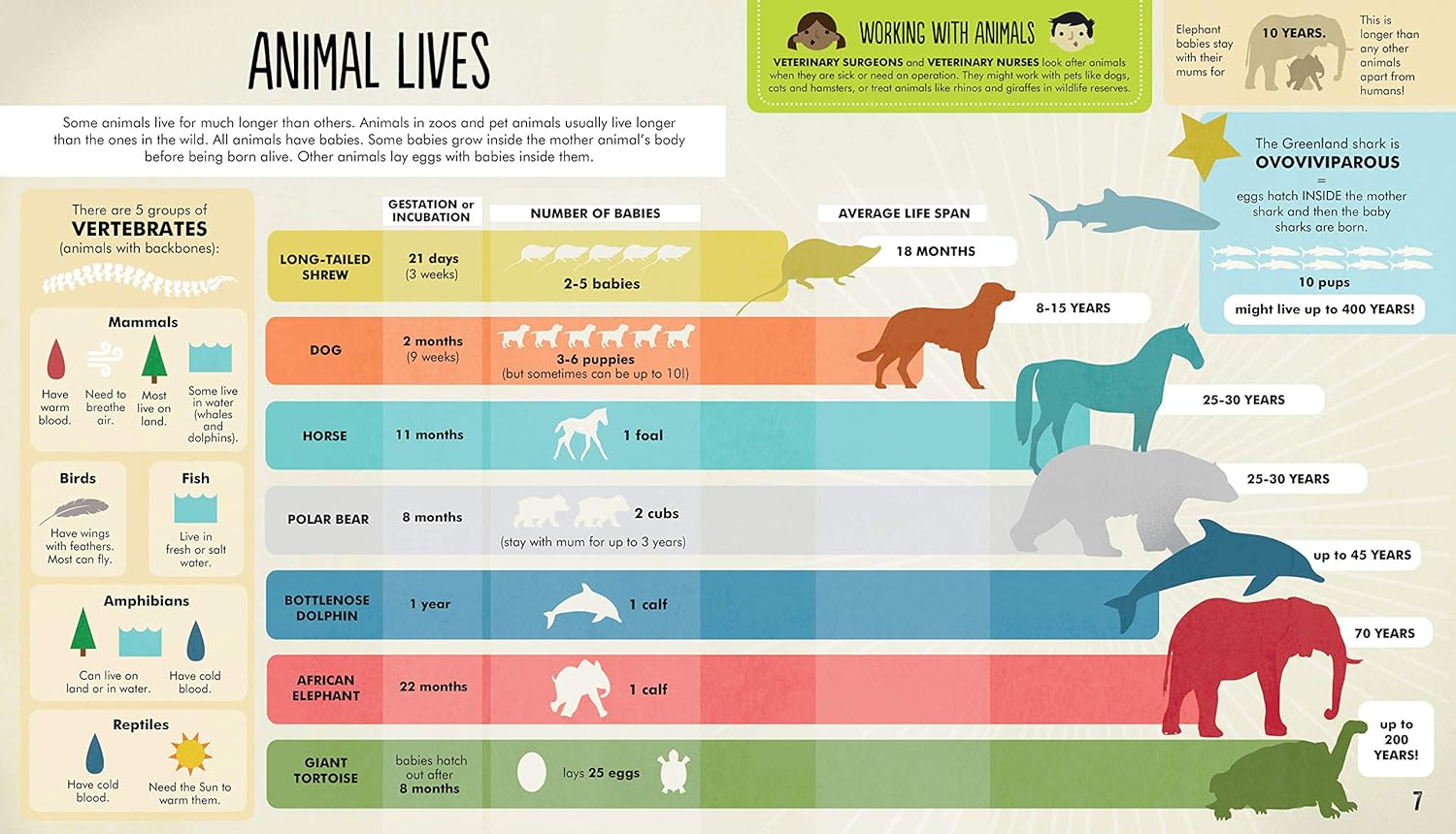 All Animals Life Chart.pdf Animals: The Wide World Awaits! – BookXcess