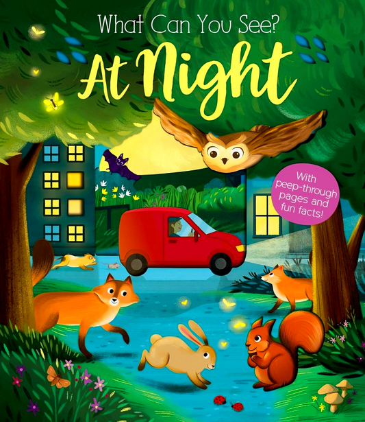 What Can You See?: At Night