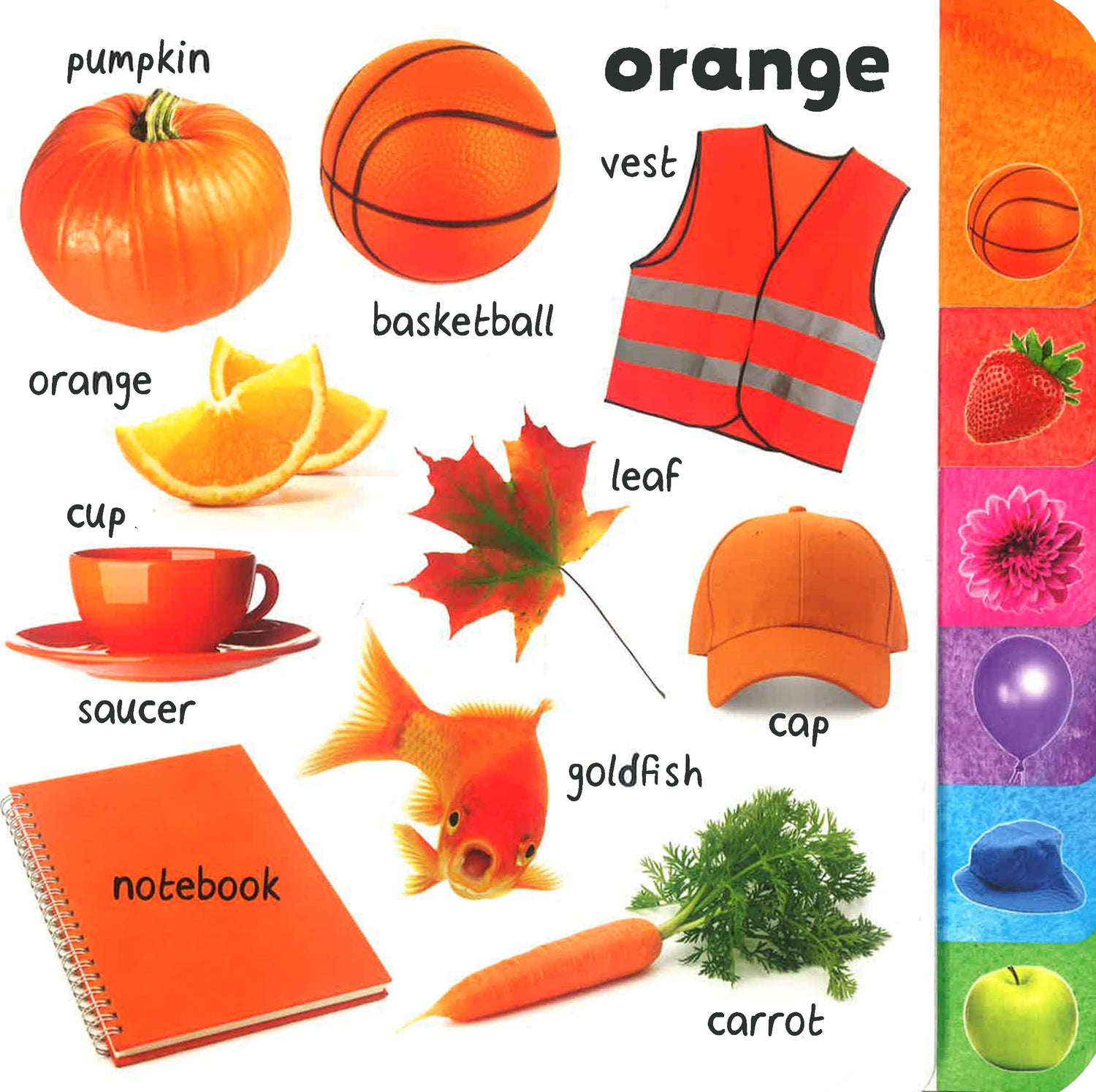 Things That R One Color What's That? Colours – BookXcess