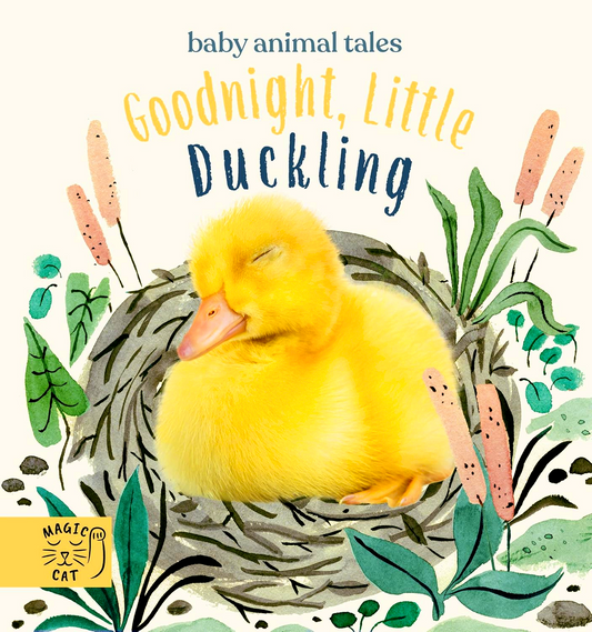Goodnight, Little Duckling