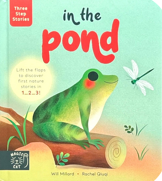 Three Step Stories: In The Pond