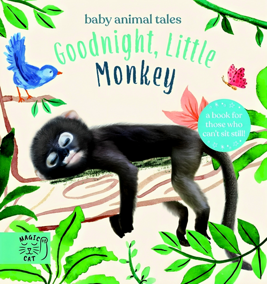 Goodnight, Little Monkey