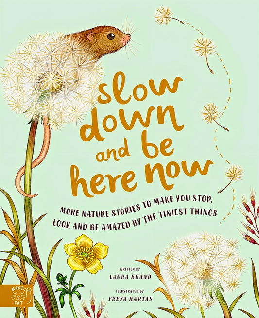 Slow Down and Be Here Now: More Nature Stories to Make You Stop, Look and Be Amazed by the Tiniest Things